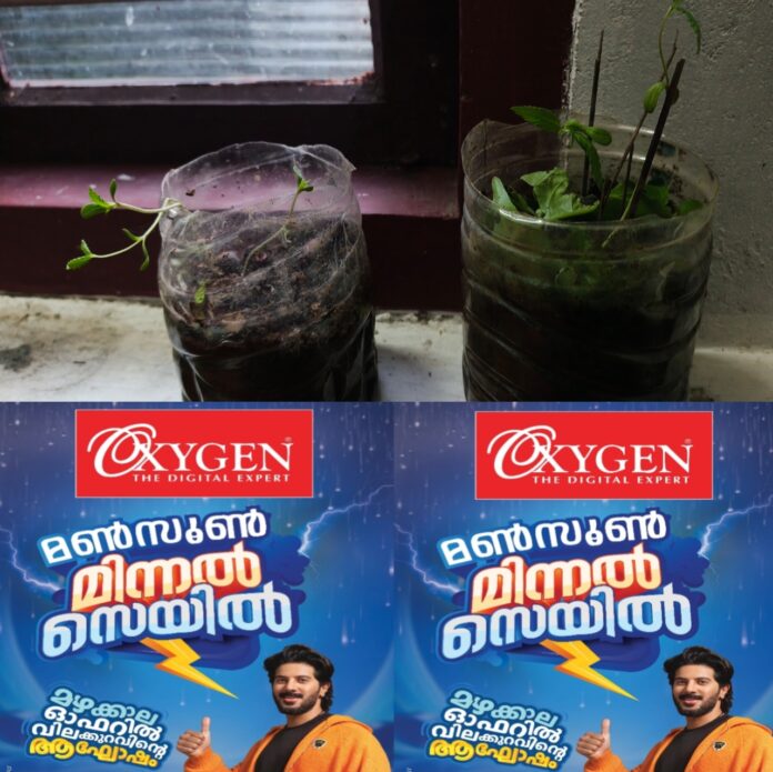 IMG-20260624-WA0041